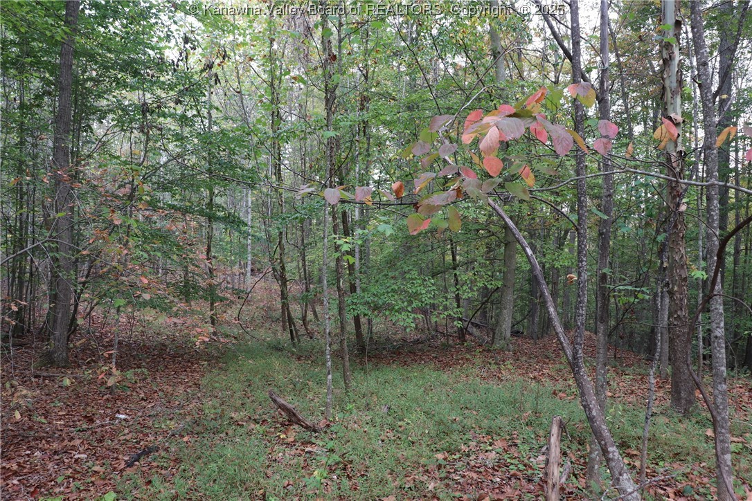 0 Route 26 Road Maysel, WV 25133 - Photo 6 of 46 Gallery Image 6