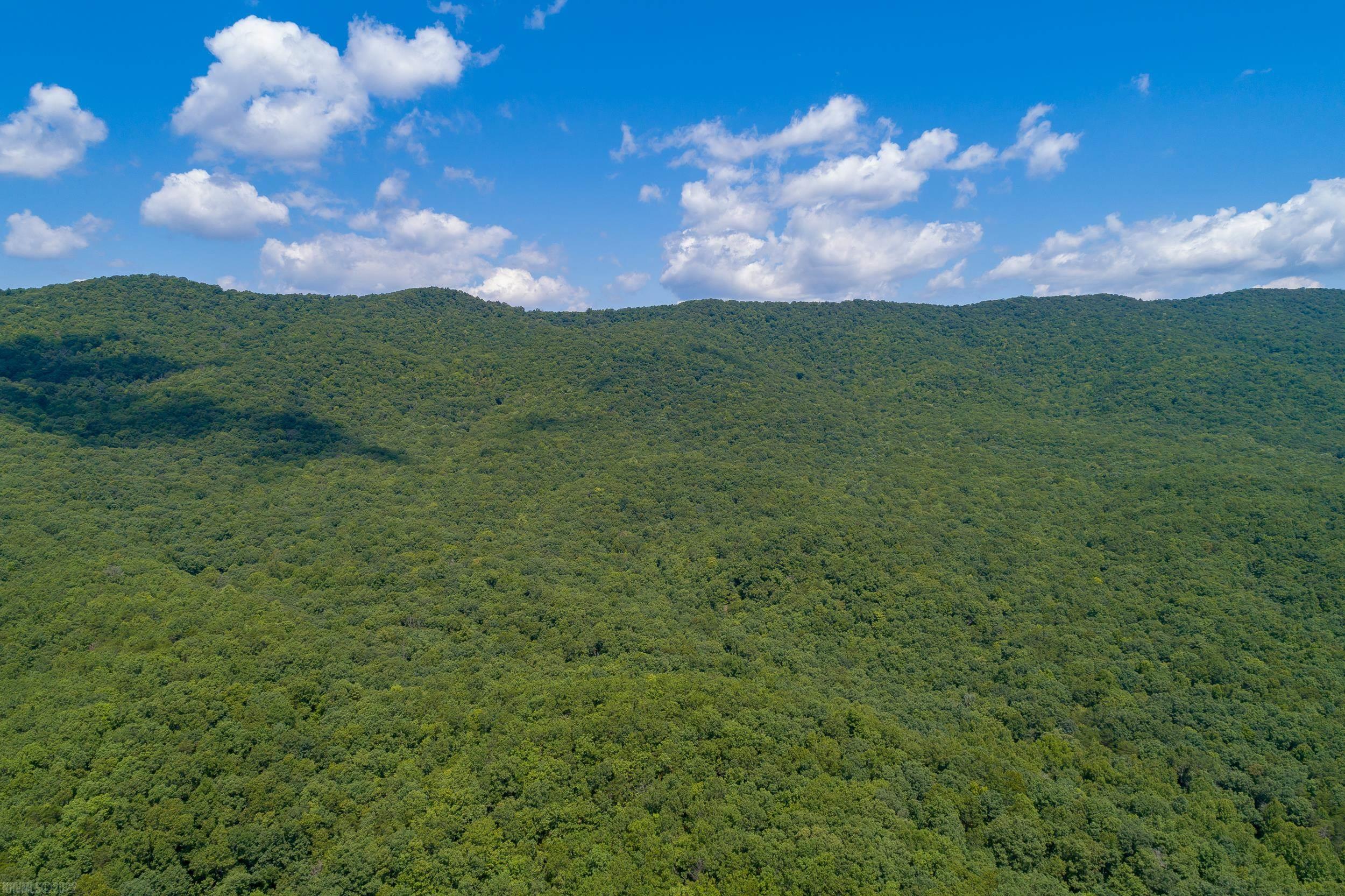 Tbd Dinky Track Road Bland, VA 24315 - Photo 4 of 26 Gallery Image 4