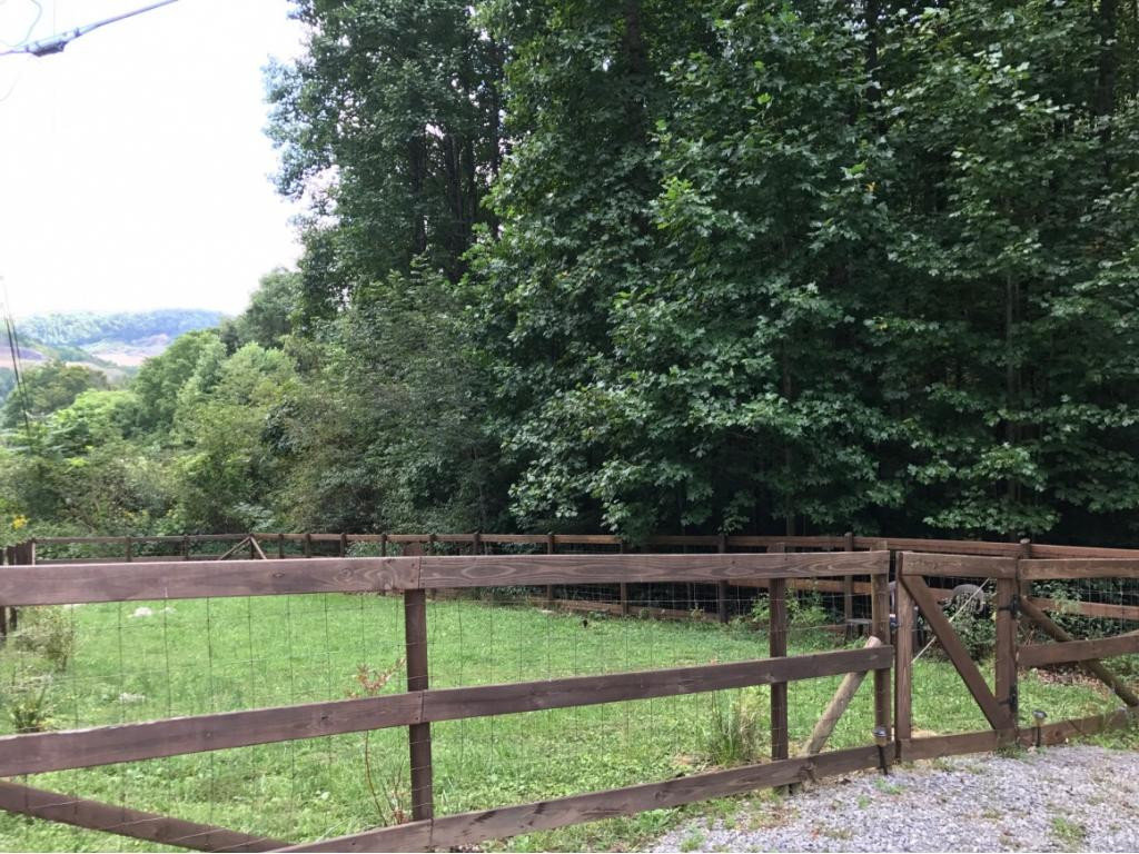 8131 George Riner Road Pound, VA 24279 - Photo 25 of 36 866 Acres