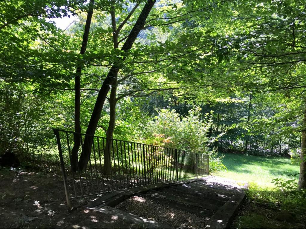 8131 George Riner Road Pound, VA 24279 - Photo 26 of 36 Peaceful