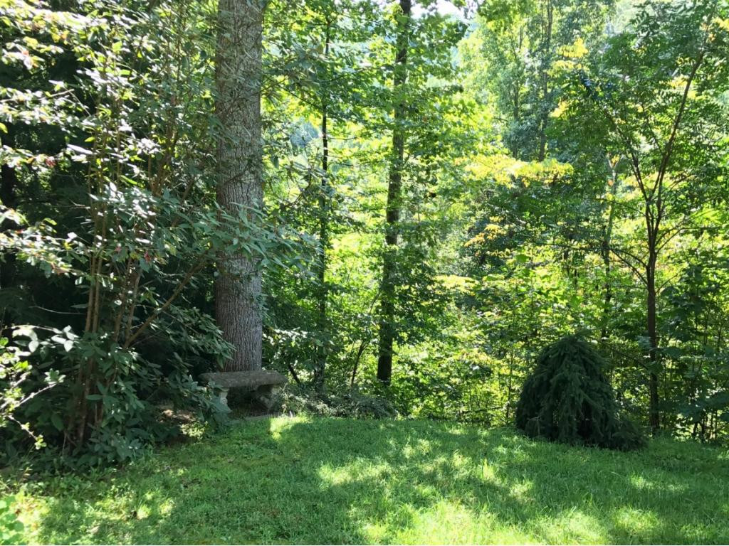 8131 George Riner Road Pound, VA 24279 - Photo 27 of 36 Photo 27