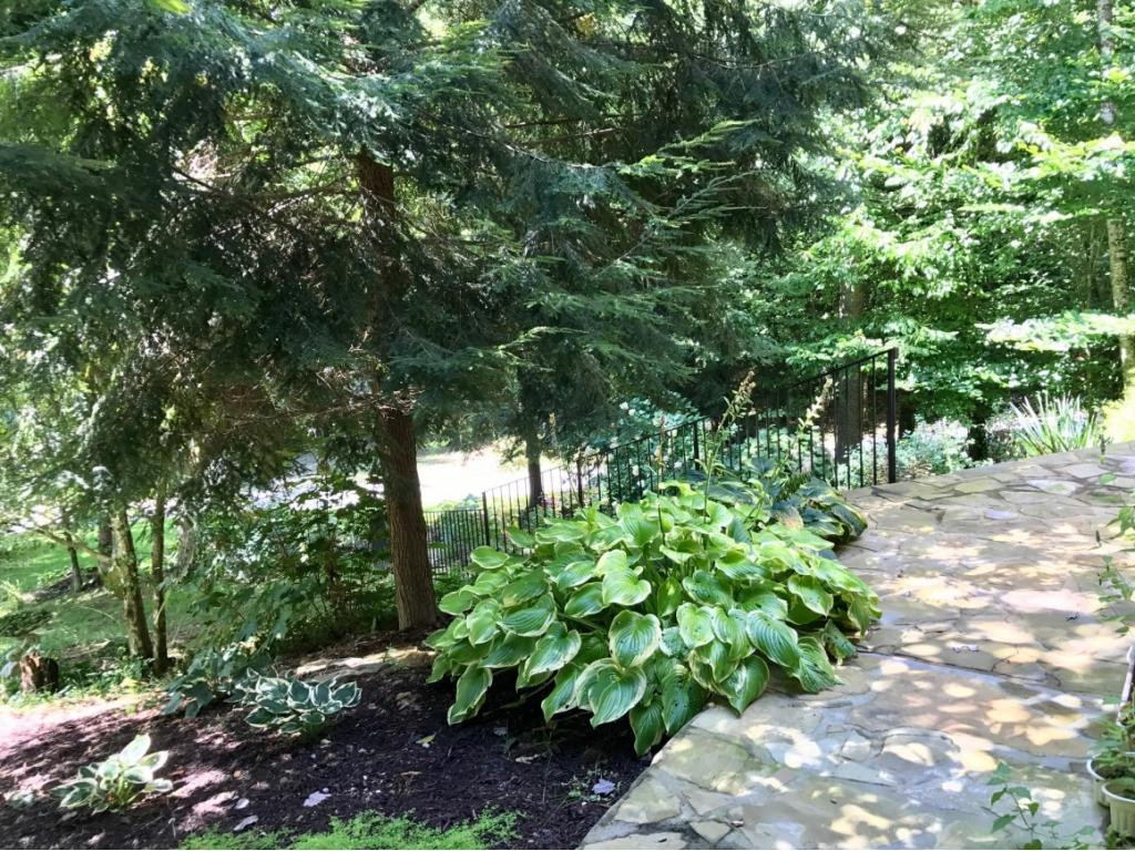 8131 George Riner Road Pound, VA 24279 - Photo 29 of 36 Extensive Landscaping