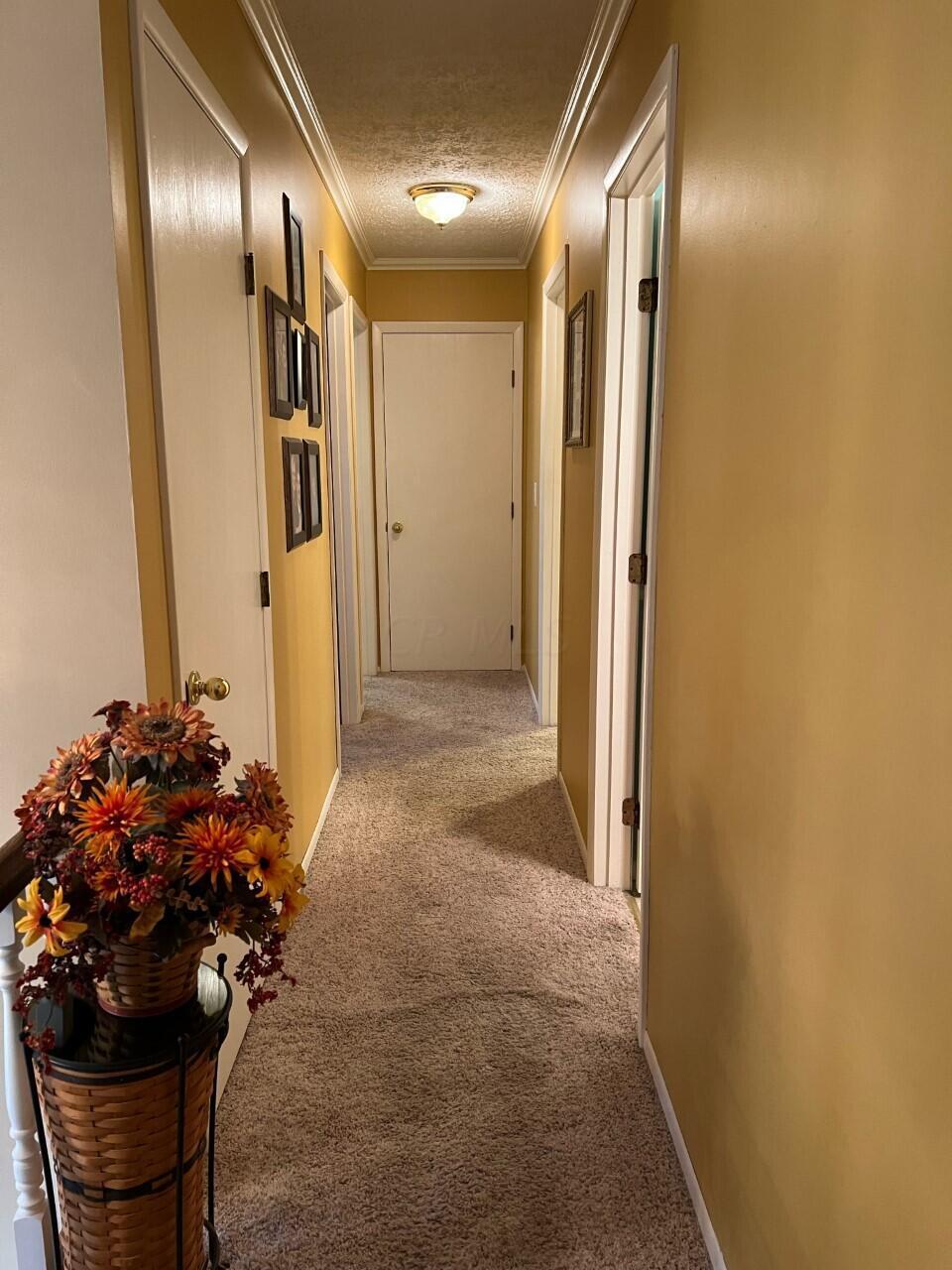 378 Overdrive Road Newark, OH 43056 - Photo 20 of 20 Gallery Image 20