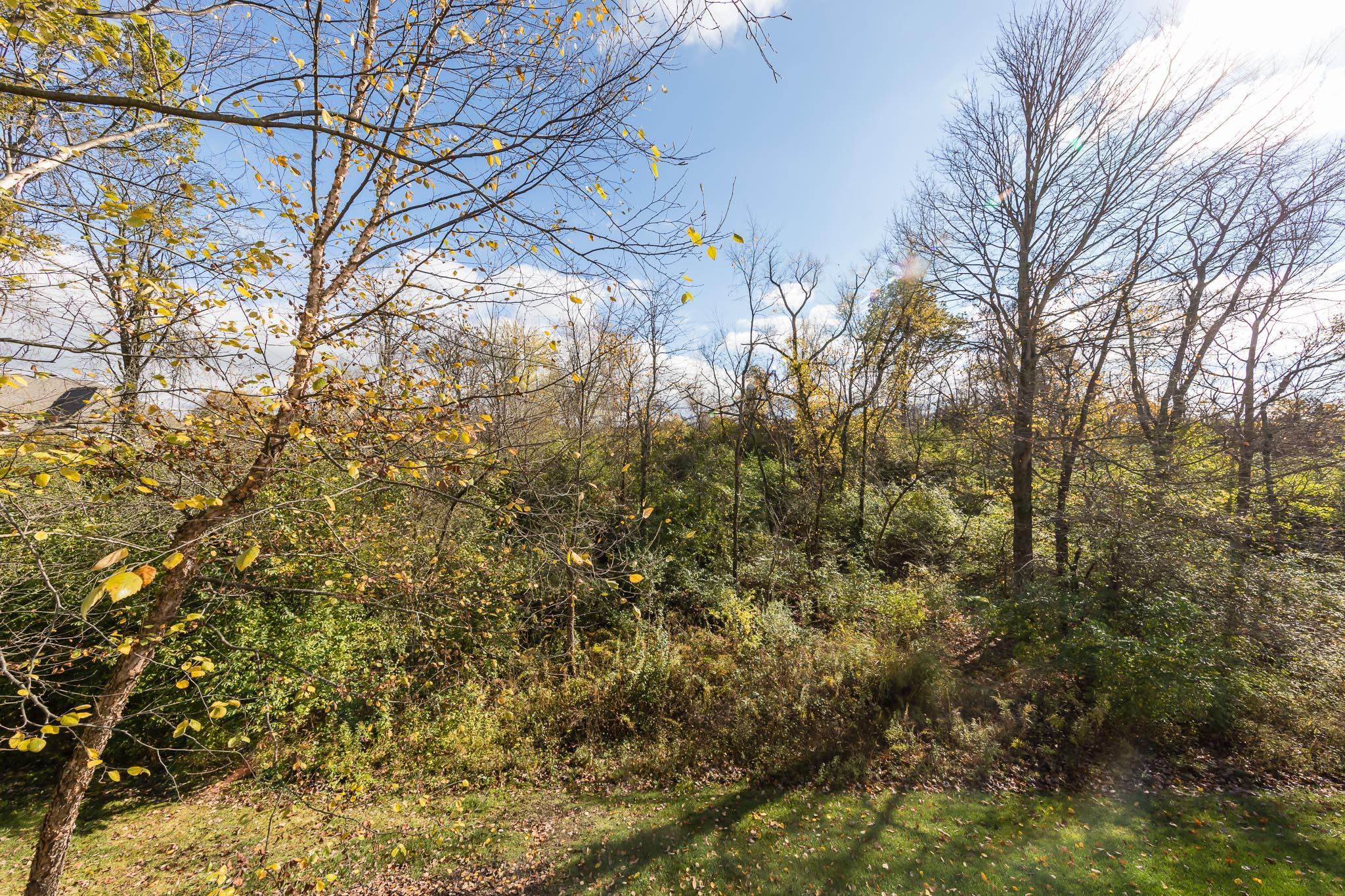 4931 Tempe Road Powell, OH 43065 - Photo 40 of 42 Gallery Image 40