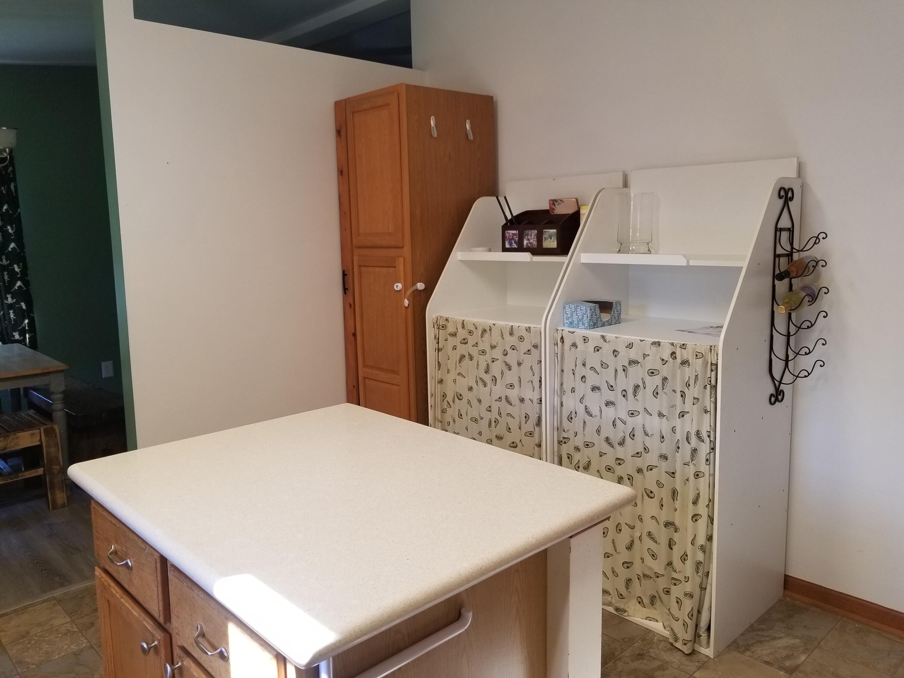 6553 Gould Road Saranac, MI 48881 - Photo 11 of 43 20220516_091020