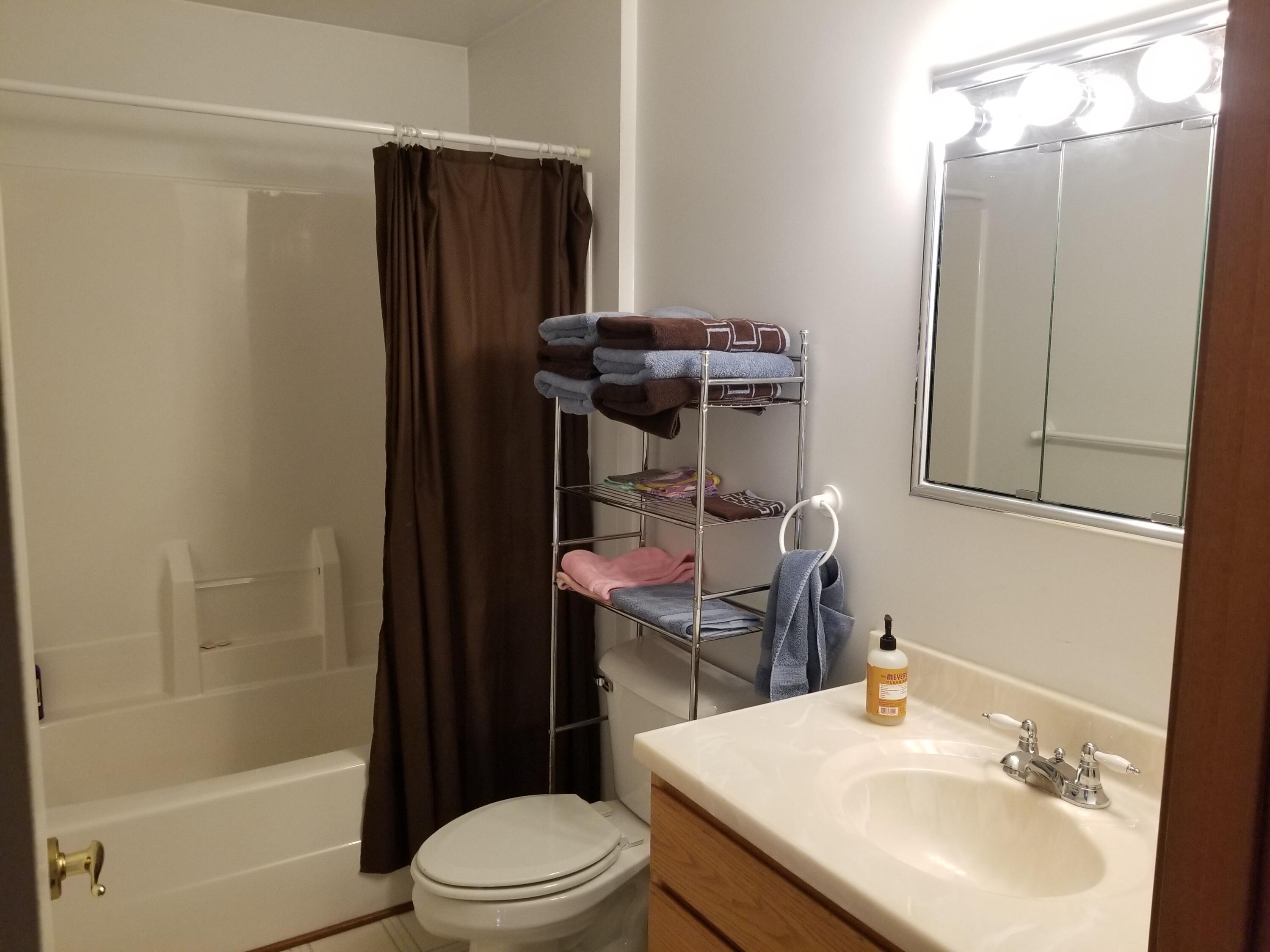 6553 Gould Road Saranac, MI 48881 - Photo 17 of 43 20220516_091221