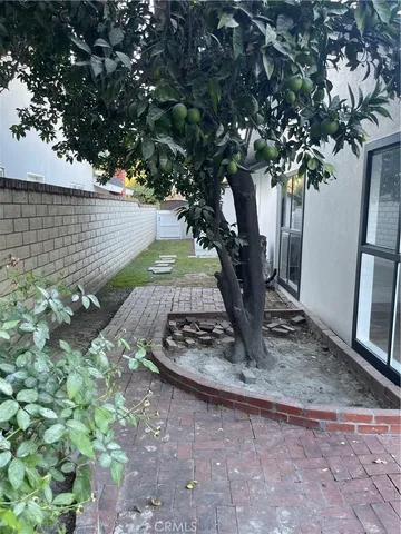 a view of a tree in front of a yard
