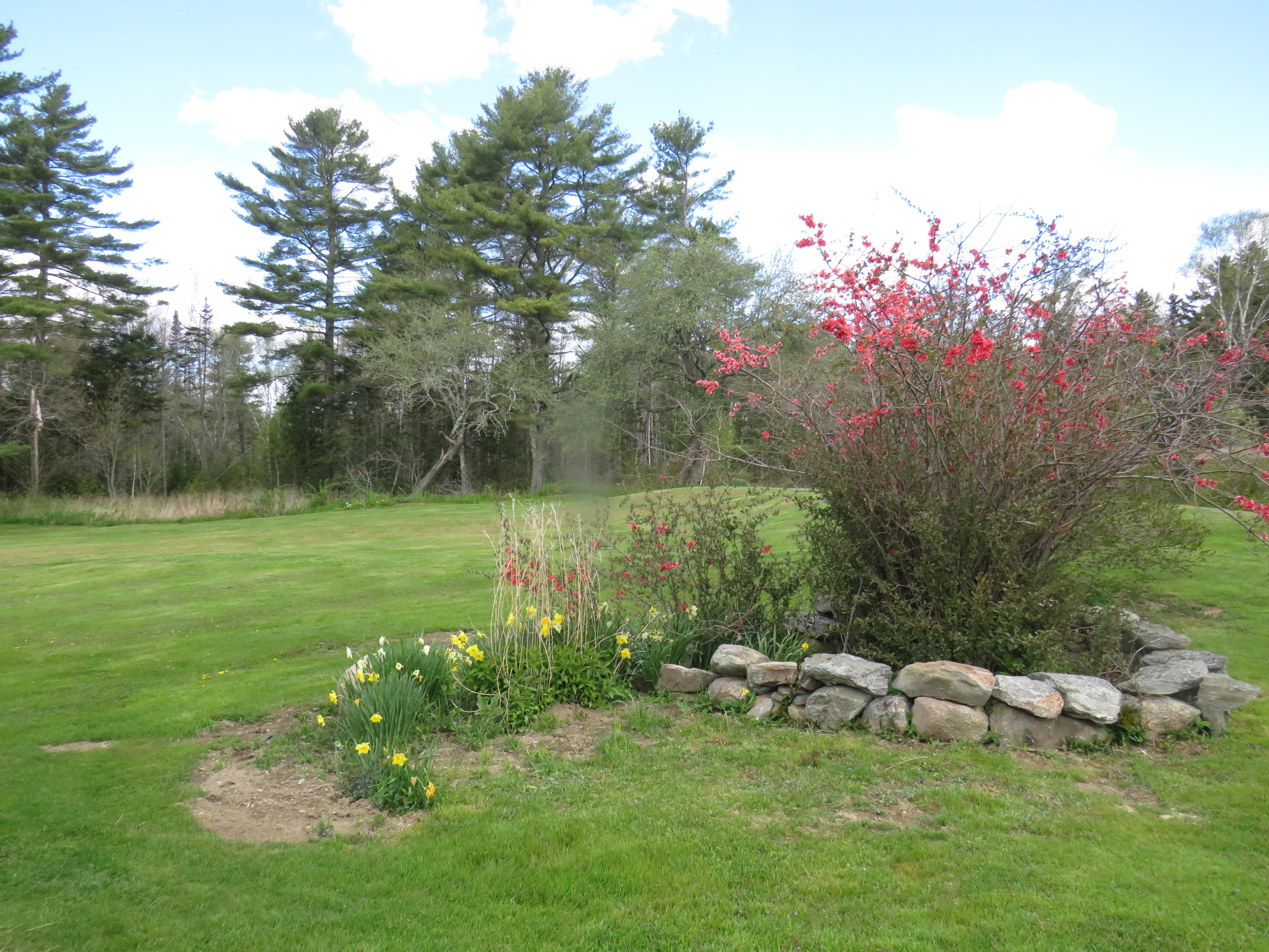 788 Cushing Road Friendship, ME 04547 - Photo 33 of 43 IMG_0782