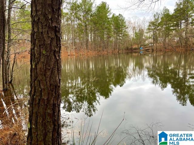 0 Deaver Walker Road Trafford, AL 35172 - Photo 1 of 28