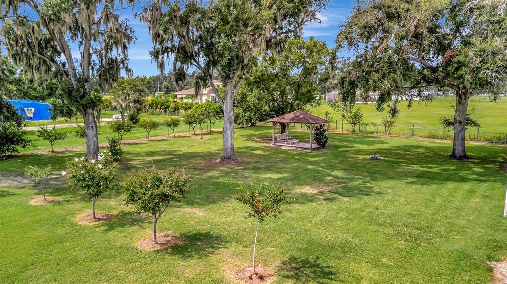 7015 Spears Road Plant City, FL 33567 - Photo 45 of 77 a view of a backyard with swimming pool