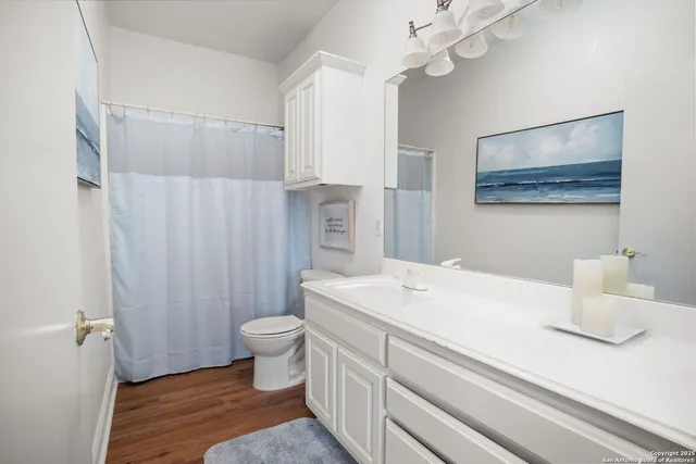 a bathroom with a sink a toilet a mirror and shower curtain