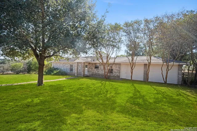 a view of a backyard with large trees and wooden fence