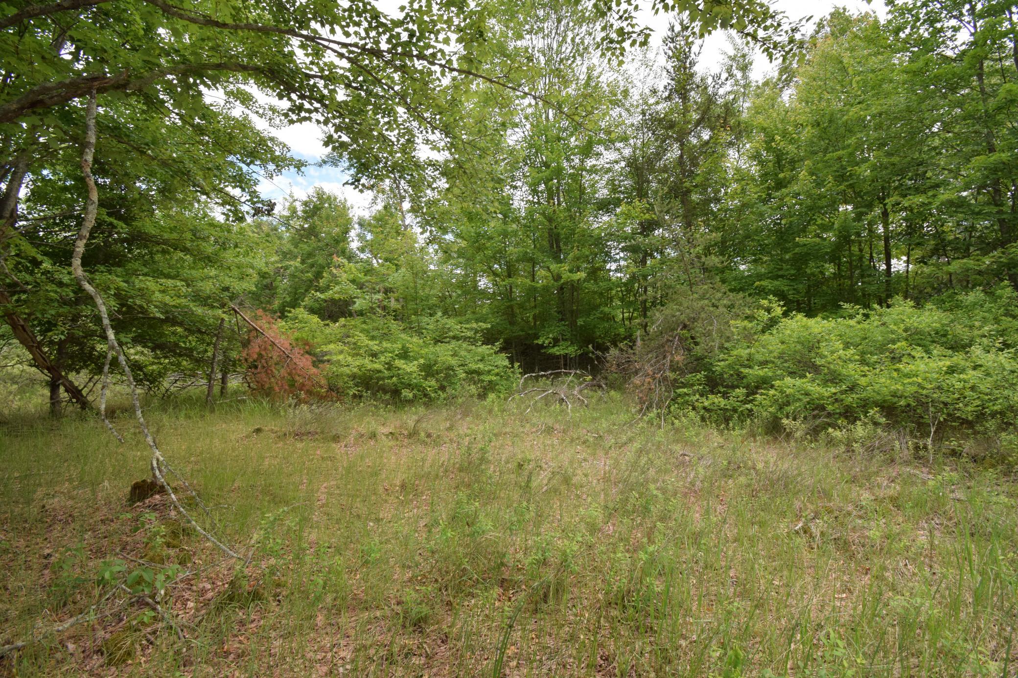 25385 Spaulding Road Grantsburg, WI 54840 - Photo 6 of 12