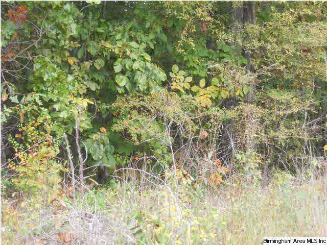 Rocky Road, Unit 58 Sylacauga, AL 35151 - Photo 5 of 7