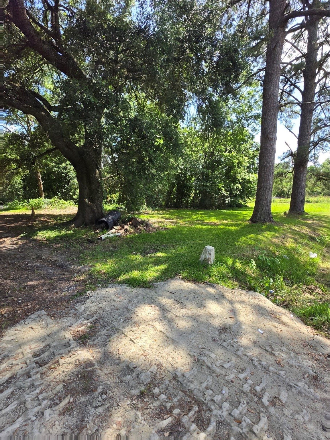 1985 Prairie Avenue Beaumont, TX 77701 - Photo 4 of 8 a view of a yard with a tree