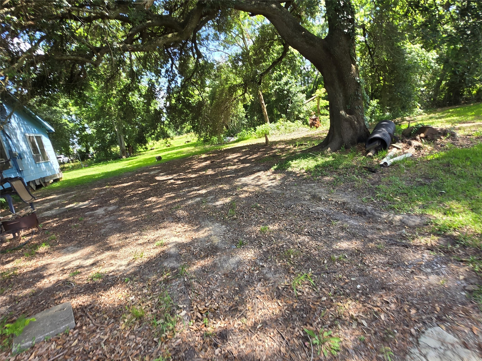 1985 Prairie Avenue Beaumont, TX 77701 - Photo 6 of 8 a view of outdoor space with trees