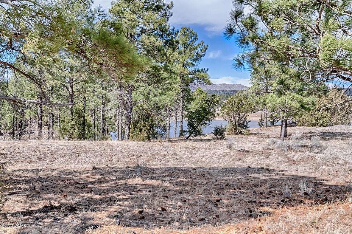 2180 Auger Canyon Road Nutrioso, AZ 85932 - Photo 4 of 13