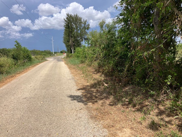 -38ac Gander Slough Road Kingsbury, TX 78638 - Photo 3 of 11 a view of a yard with plants and trees
