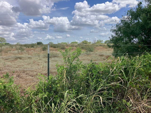 -38ac Gander Slough Road Kingsbury, TX 78638 - Photo 7 of 11 a view of lake with green space