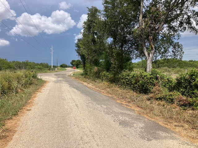 -38ac Gander Slough Road Kingsbury, TX 78638 - Photo 8 of 11 a view of a yard with plants and a large tree