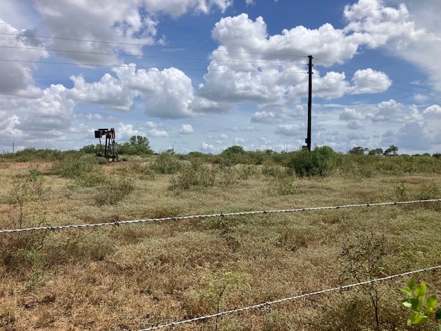 -38ac Gander Slough Road Kingsbury, TX 78638 - Photo 10 of 11