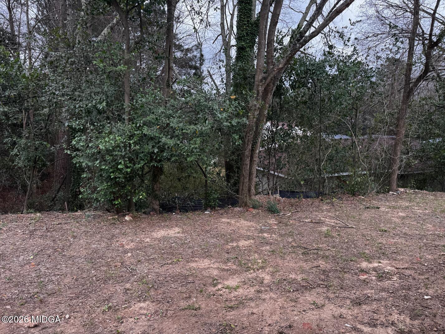 4266 Mumford Road Macon, GA 31204 - Photo 16 of 17 a view of outdoor space with trees