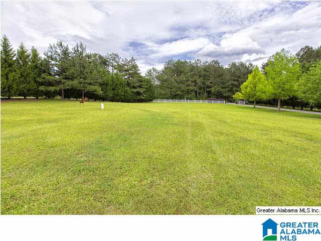 297 Robertson Hollow Lane Springville, AL 35146 - Photo 3 of 28