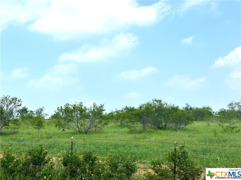07 Tower Drive Moody, TX 76557 - Photo 12 of 23 a view of a big yard with plants and large trees