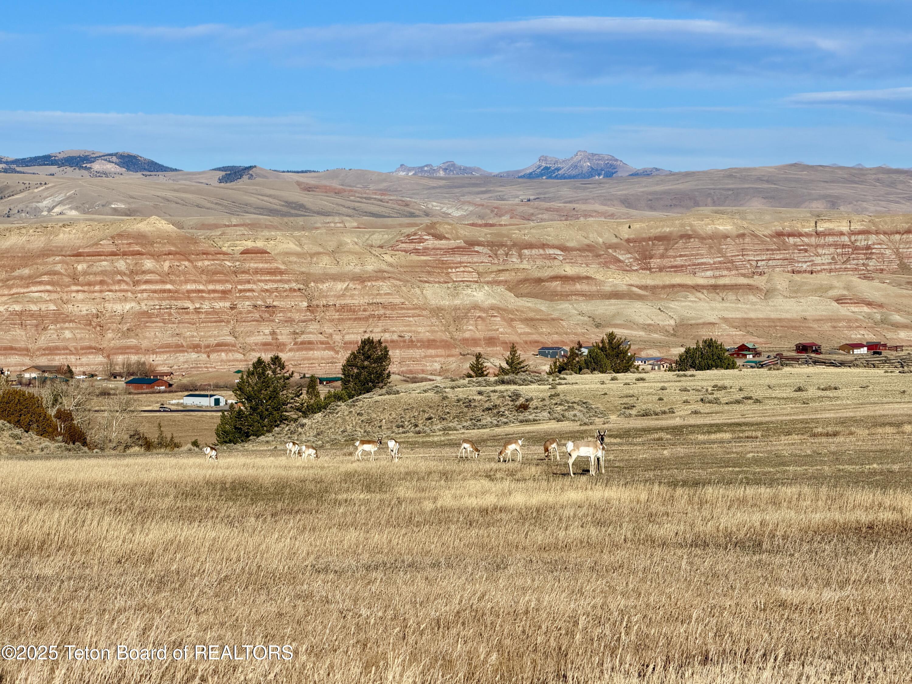 Lot 4 Bald Mountain Road Dubois, WY 82513 - Photo 18 of 18 Speed Goat 2
