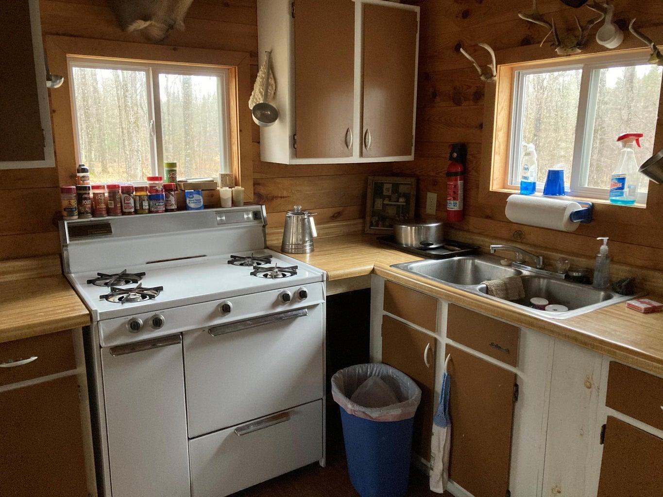 0 Camp Road Germfask, MI 49836 - Photo 4 of 5 Gallery Image 4