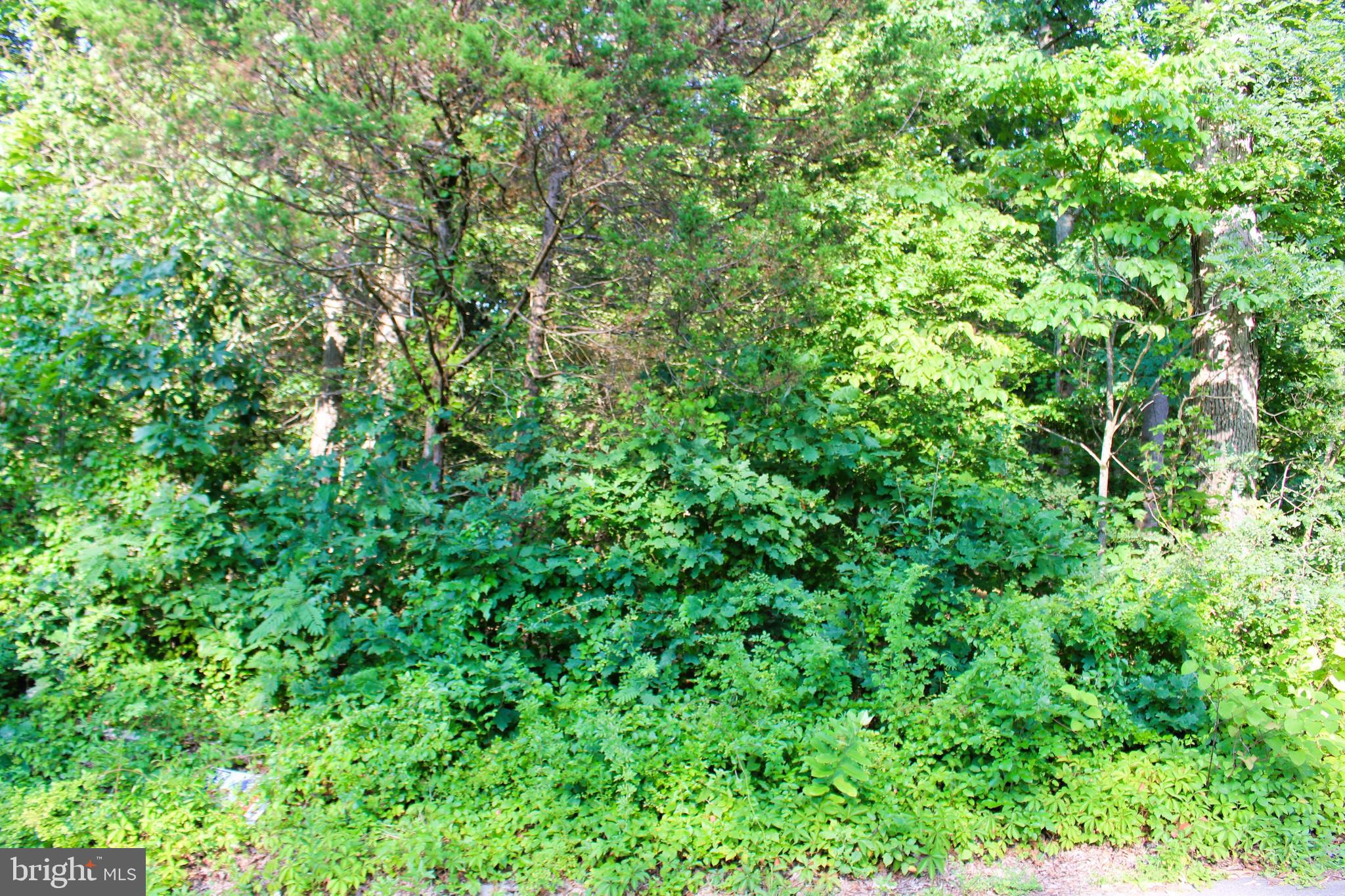 Mandeville Road Joppa, MD 21085 - Photo 7 of 10 Front view of lot