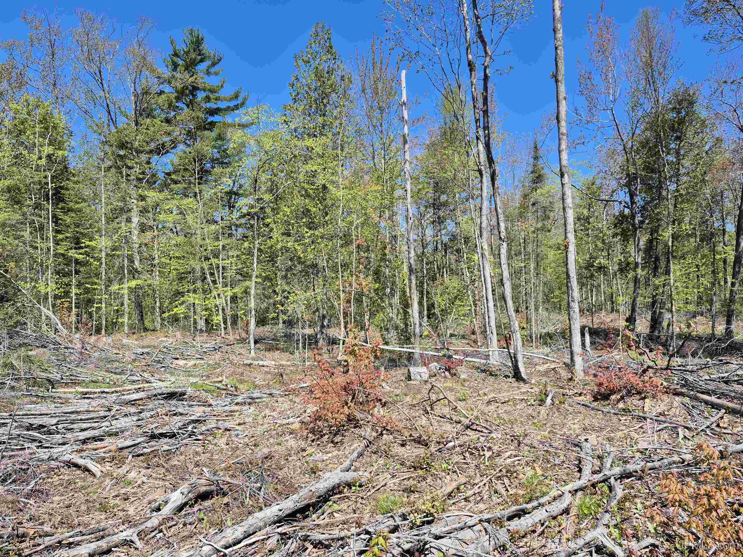 South 8-acres Perch Lake Road Munising, MI 49862 - Photo 11 of 44 Gallery Image 11