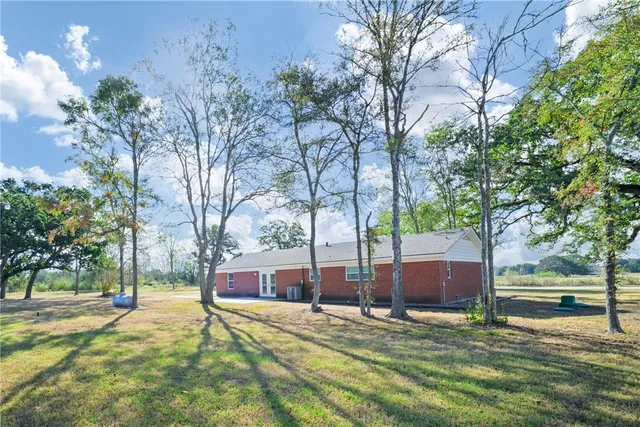 a view of a yard with trees