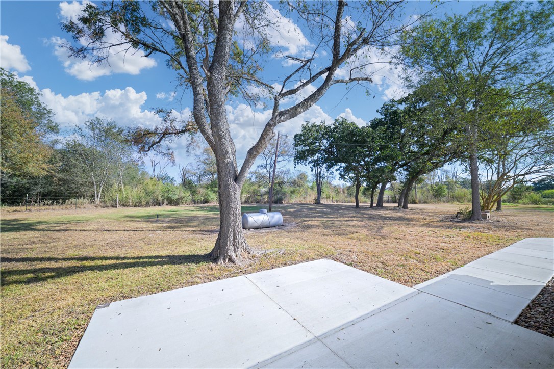 4608 Union Road North Zulch, TX 77872 - Photo 30 of 35 a view of a yard with trees