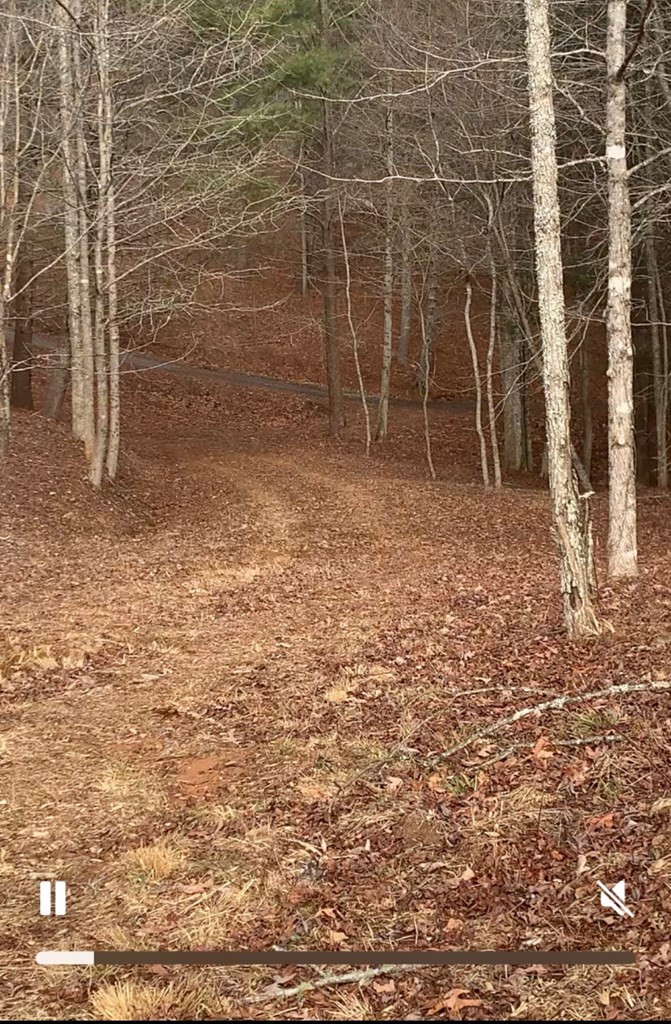 16 Merlin Trail Murphy, NC 28906 - Photo 2 of 9