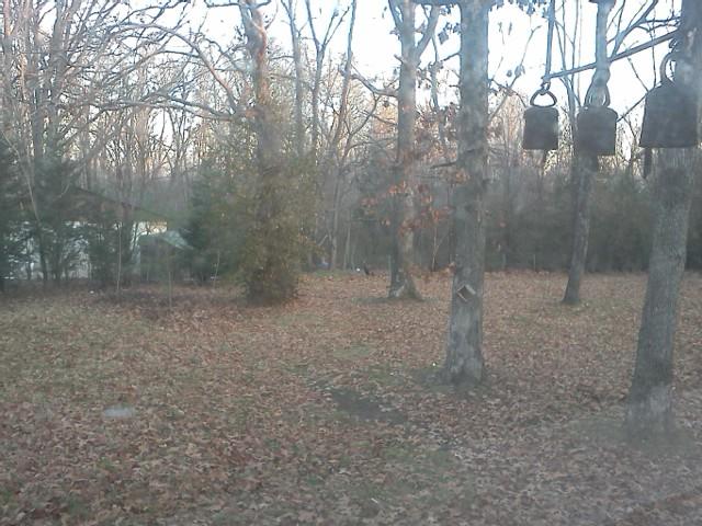 7301 Lake Road Northwest Fairview, TN 37062 - Photo 5 of 18 Gallery Image 5
