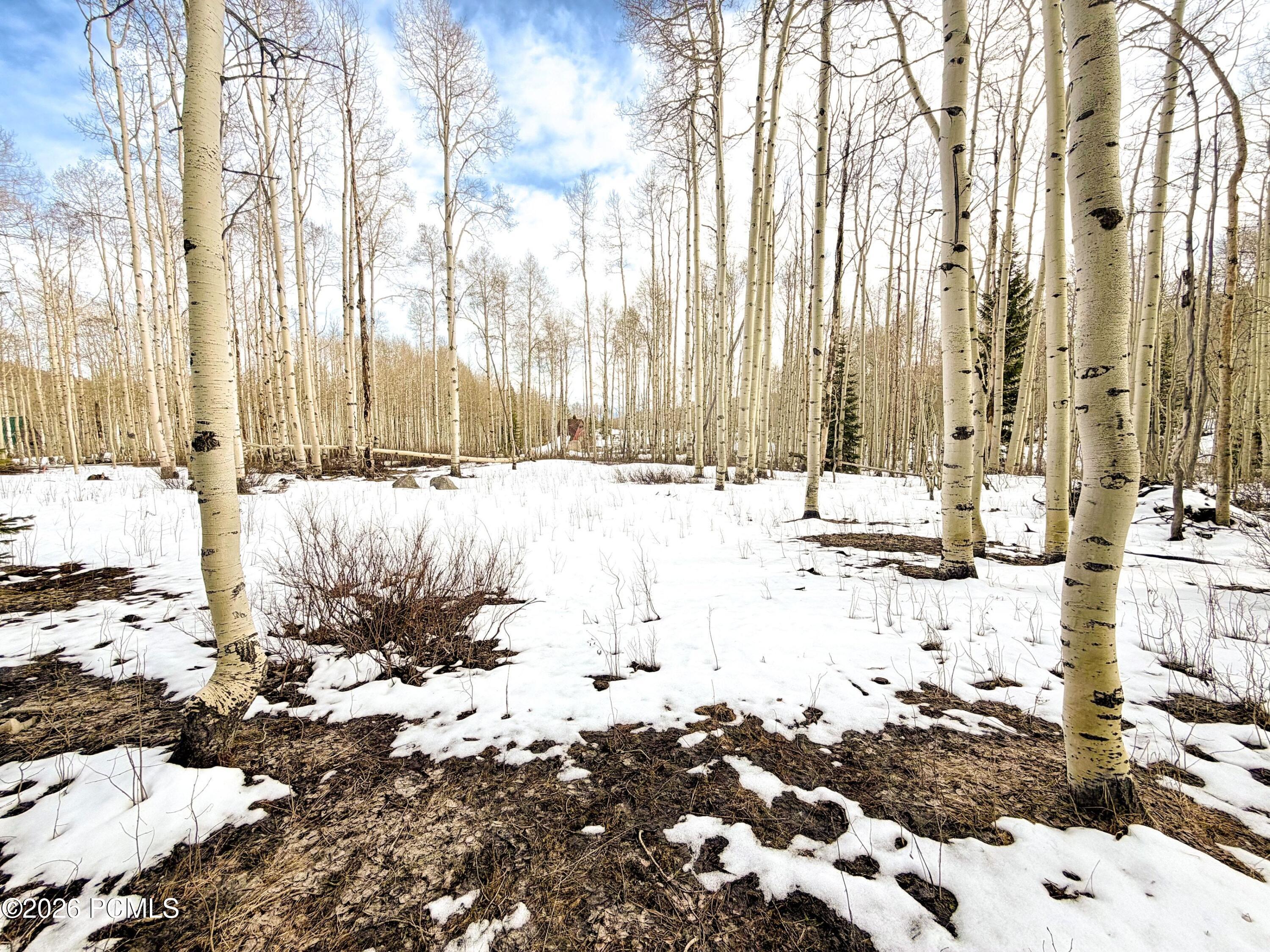 5384 North Rocky Road Park City, UT 84060 - Photo 5 of 13