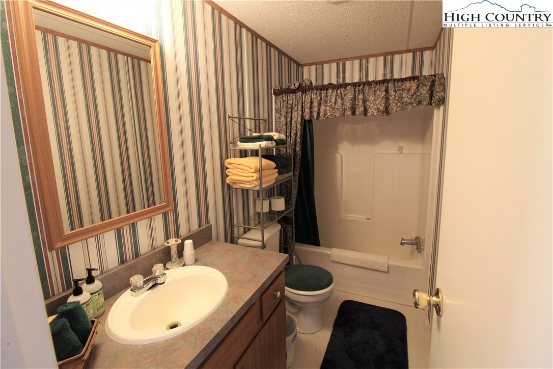 1419 Joe Hampton Road Lansing, NC 28643 - Photo 18 of 25 a bathroom with a sink a toilet and shower curtain