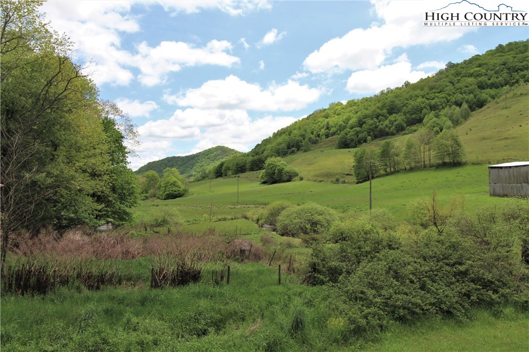 1419 Joe Hampton Road Lansing, NC 28643 - Photo 6 of 25 a view of a field of grass and trees