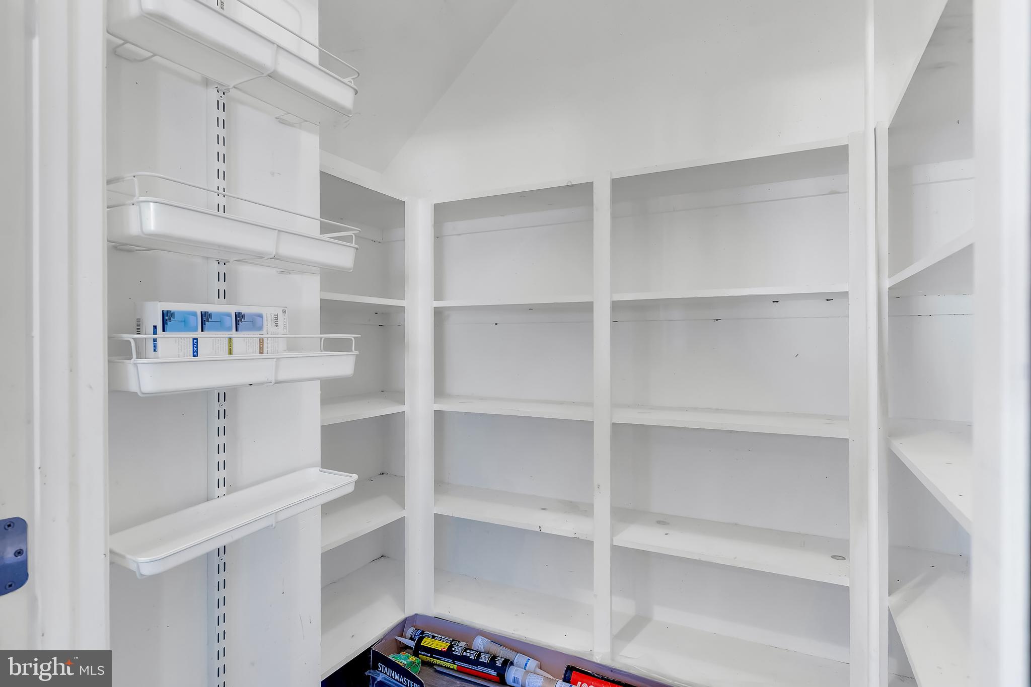 5903 Morgans Way Salisbury, MD 21801 - Photo 30 of 88 Huge pantry with shelving!