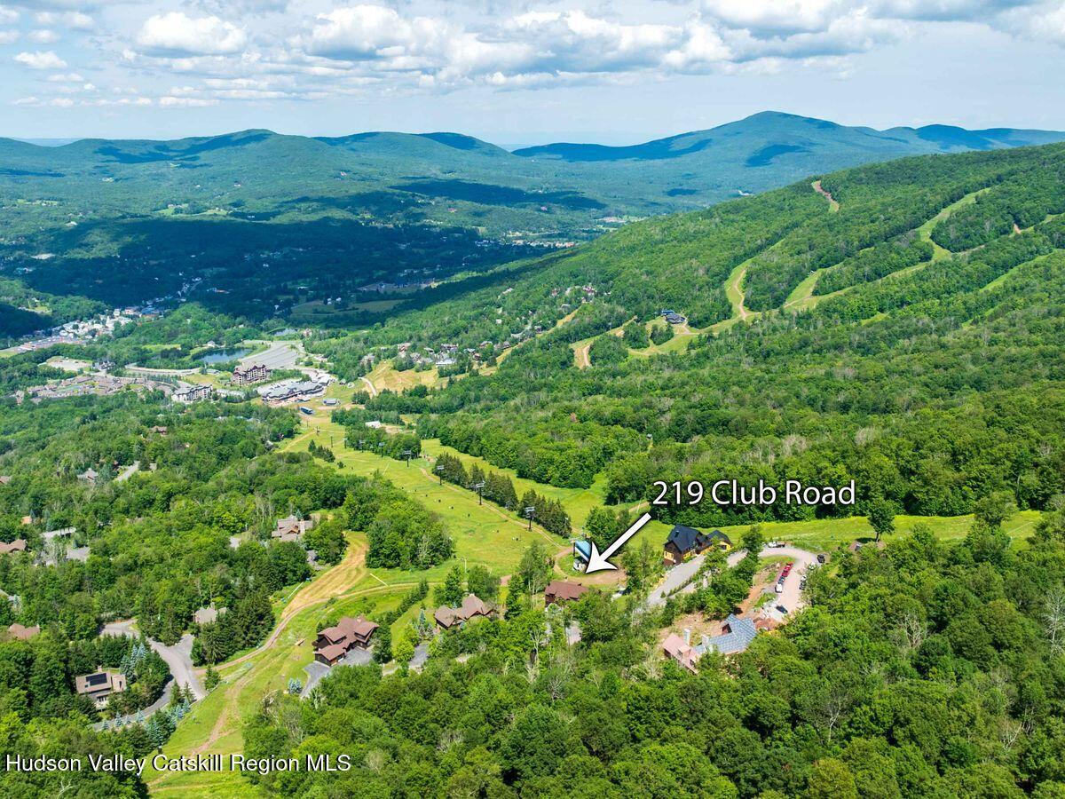 219 Club Road Windham, NY 12496 - Photo 97 of 103 a view of a lush green field with lots of plants in it