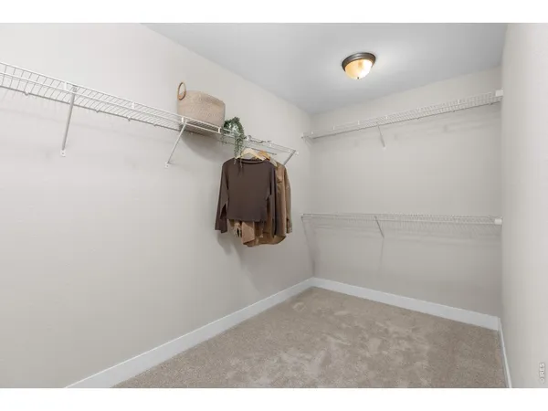 a bathroom with a shower and a shower