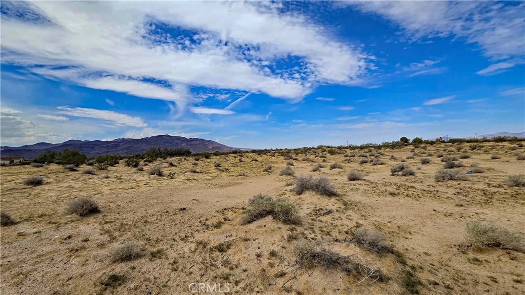 0 Fremont Road Newberry Springs, CA 92365 - Photo 4 of 33 Gallery Image 4