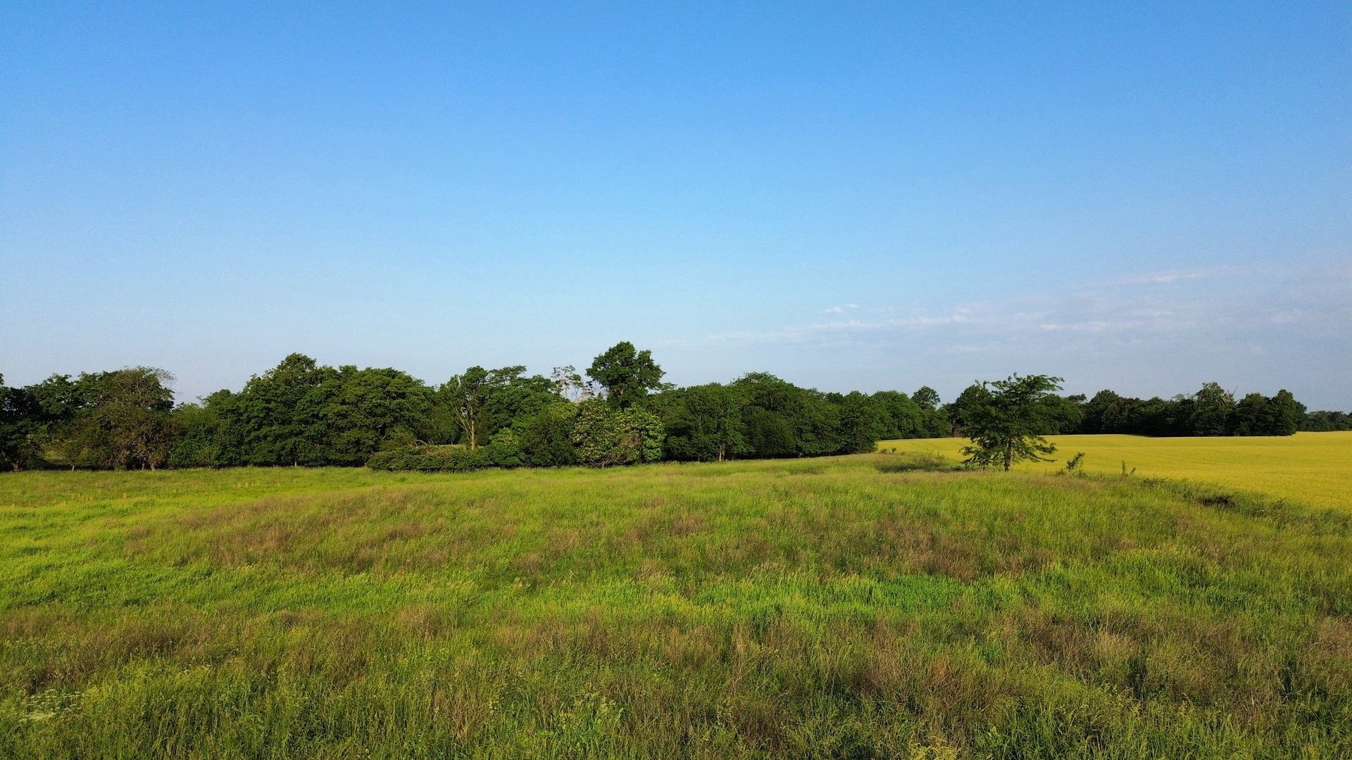 0 County Highway 29 Road Rinard, IL 62878 - Photo 14 of 28