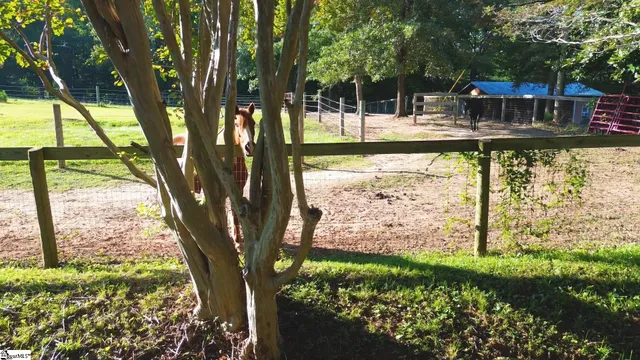 $1,399,000 | 700 South 562, Landrum, SC 29356