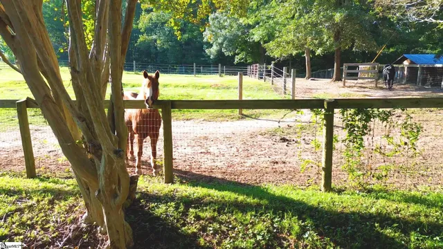 $1,399,000 | 700 South 562, Landrum, SC 29356