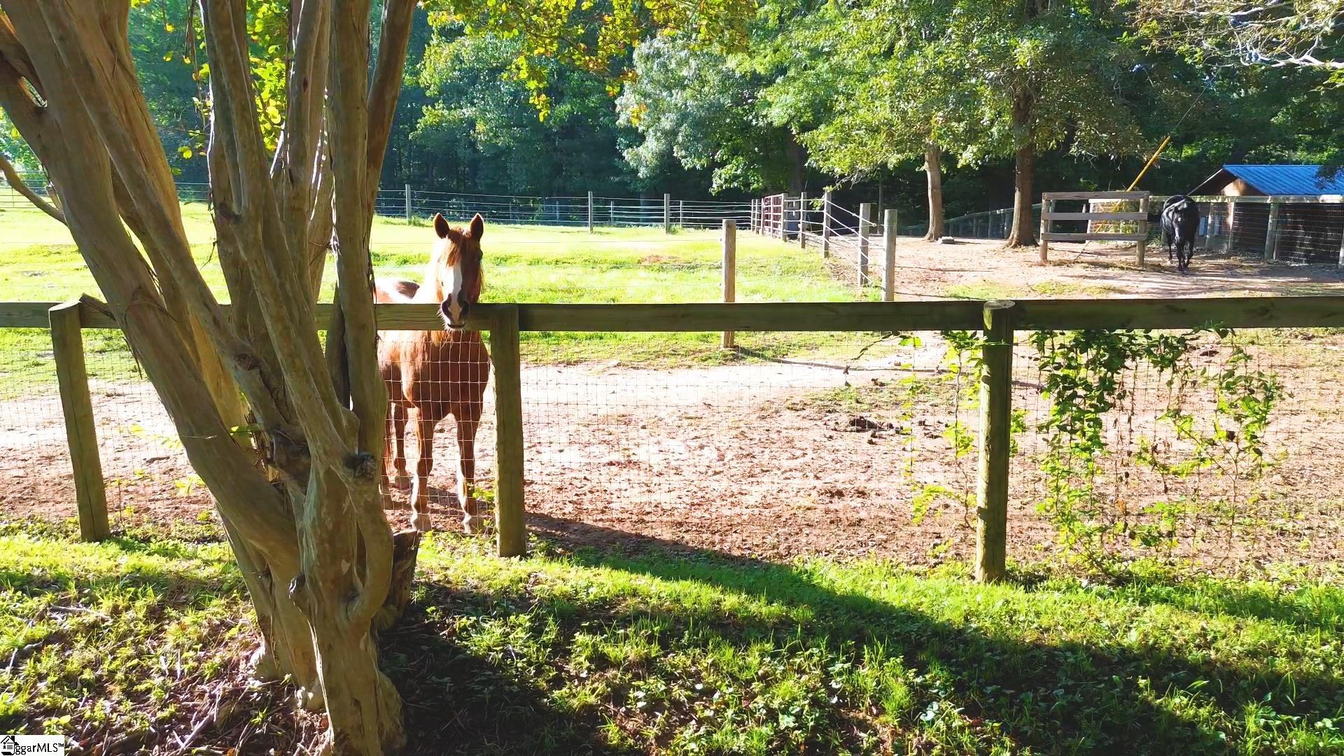 700 South 562 Landrum, SC 29356 - Photo 38 of 49