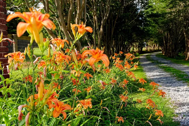 $1,399,000 | 700 South 562, Landrum, SC 29356