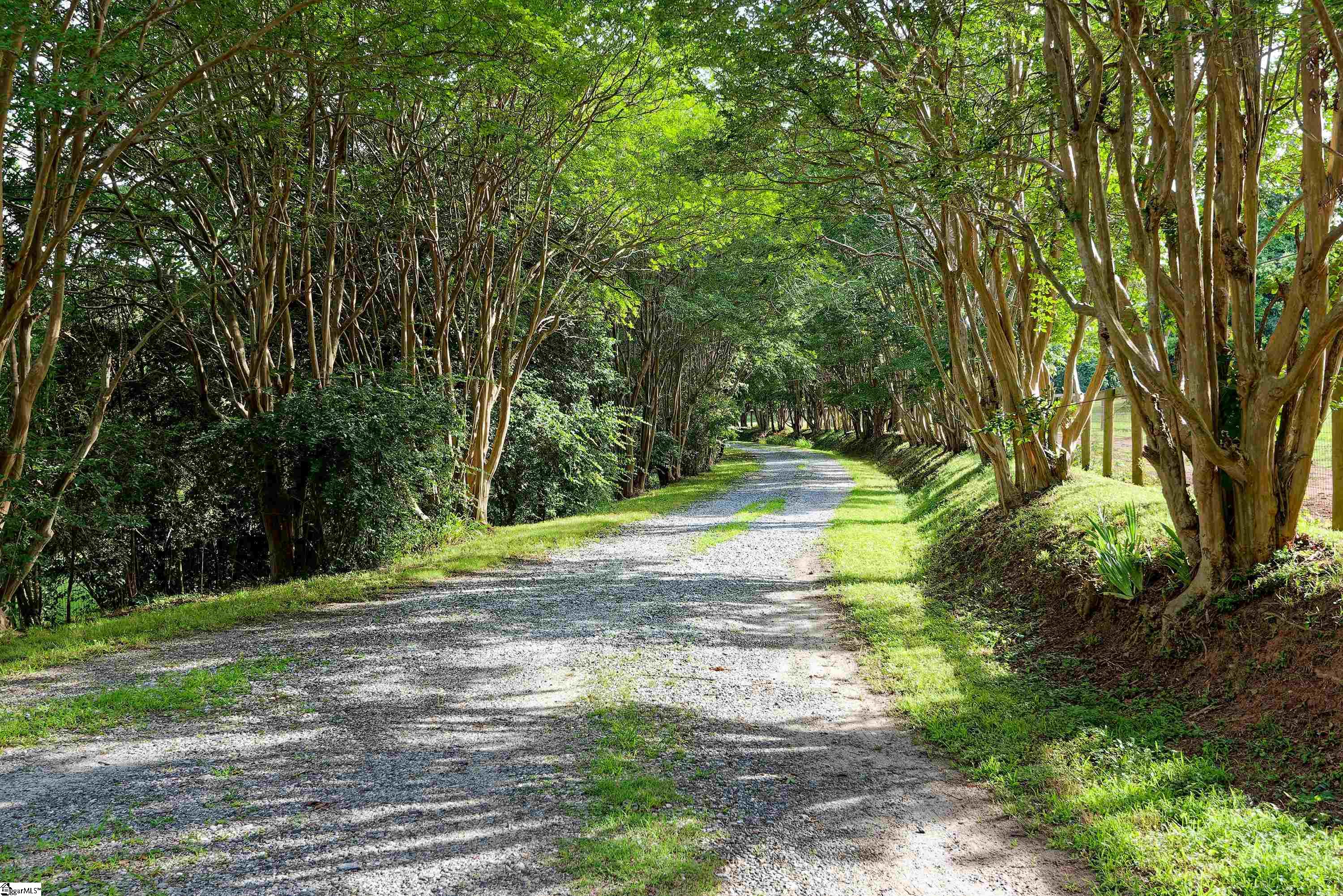 700 South 562 Landrum, SC 29356 - Photo 5 of 49