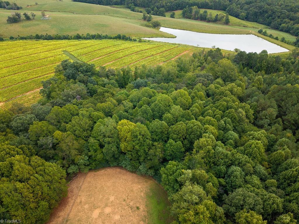3818 Mining Ridge Church Road State Road, NC 28676 - Photo 49 of 49 Gallery Image 49